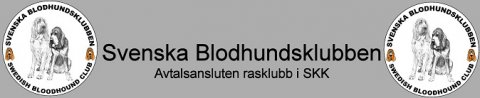 svensk blodhunde klub